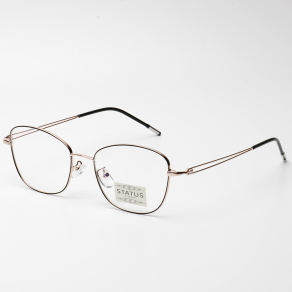 Оправа Status 23113 c3 оптом