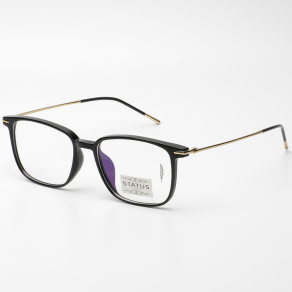 Оправа Status 8300 c1 titan оптом