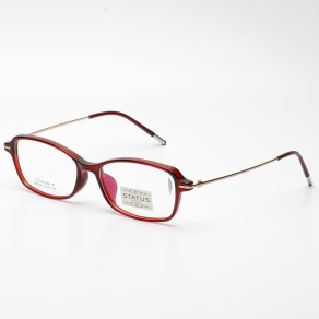 Оправа Status 8254 c5 titan