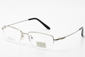 Купить оправа status 5016 с3 оптом дешево с доставкой в Санкт-Петербург