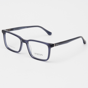 Оправа Status F3320 c2 acetate