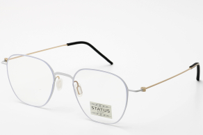 Купить Оправа Status 7911 с2 оптом дешево с доставкой в Санкт-Петербург Купить Оправа Status 7911 с2 оптом дешево с доставкой в Санкт-Петербург