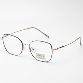 Оправа Status 23118 c5