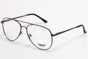 Оправа Amshar AM 8124 c3-1