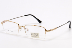 Купить оправа status 8902 золото оптом дешево с доставкой в Санкт-Петербург