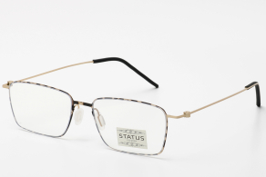 Оправа Status 7910 с1