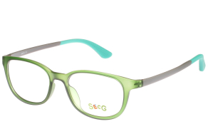 Купить Оправа SECG S909 c5 оптом дешево с доставкой в Санкт-Петербург Купить Оправа SECG S909 c5 оптом дешево с доставкой в Санкт-Петербург