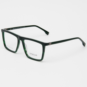 Оправа Status F3310 c6 acetate