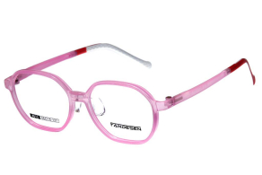 Купить Оправа Fandesen 8613 c2 оптом дешево с доставкой в Санкт-Петербург