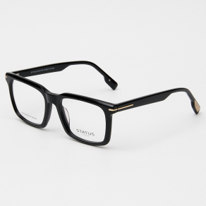 Оправа Status GX66010 c1 acetate