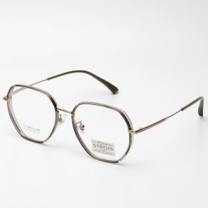 Оправа Status 90176 c7 titan