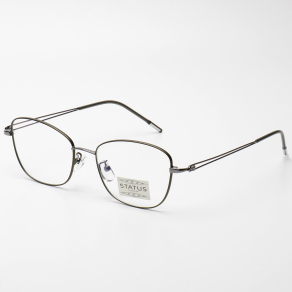 Оправа Status 23113 c6