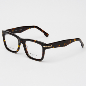 Оправа Status T91070 c2 acetate