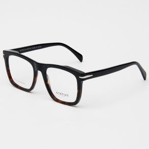 Оправа Status F3309 c8 acetate