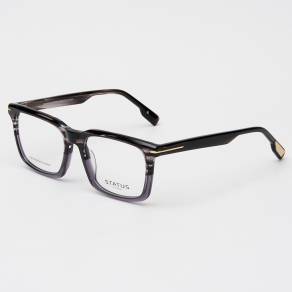 Оправа Status GX66010 c3 acetate