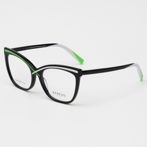 Оправа Status R8319 c2 acetate