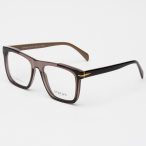Оправа Status F3309 c3 acetate