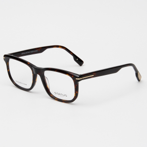 Оправа Status GX66011 c2 acetate