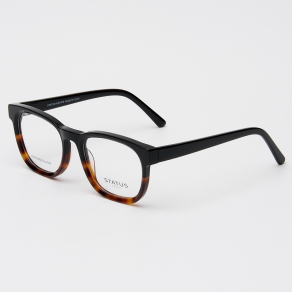 Оправа Status F2723 c6 acetate