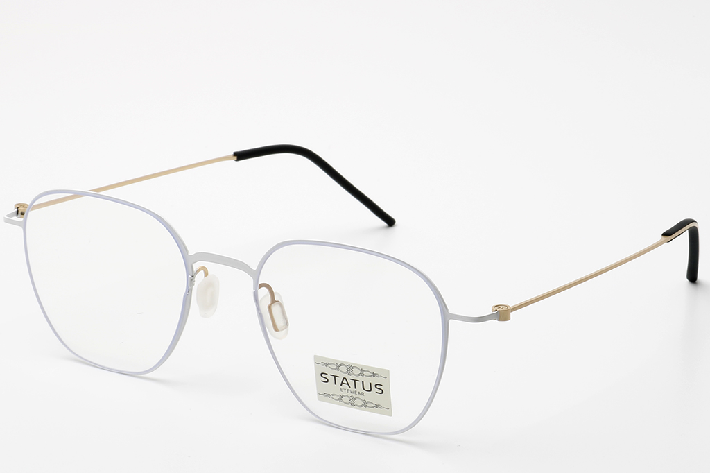 Купить Оправа Status 7911 с2 оптом дешево с доставкой в Санкт-Петербург Купить Оправа Status 7911 с2 оптом дешево с доставкой в Санкт-Петербург