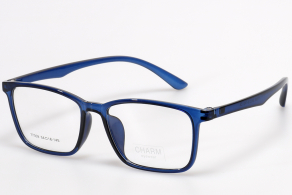 Купить Оправа Charm 77009 c4 оптом дешево с доставкой в Санкт-Петербург Купить Оправа Charm 77009 c4 оптом дешево с доставкой в Санкт-Петербург