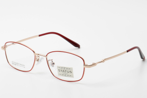 Оправа Status 20119 c22 оптом