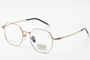 Оправа Status 9506 c1
