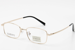 Купить Оправа Status 20132 c1 оптом дешево с доставкой в Санкт-Петербург