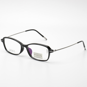 Оправа Status 8254 c1 titan оптом