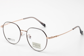 Купить Оправа Status 1060 c22 оптом дешево с доставкой в Санкт-Петербург