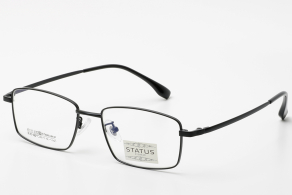 Оправа Status 20131 c4 оптом