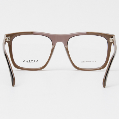 Оправа Status F3309 c3 acetate