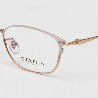 Оправа Status 88758 c15 titan