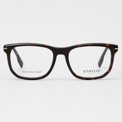 Оправа Status GX66011 c2 acetate