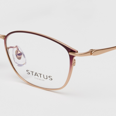 Оправа Status 88758 c3 titan