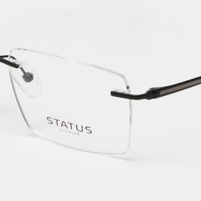 Оправа Status RT0162 c3 titan