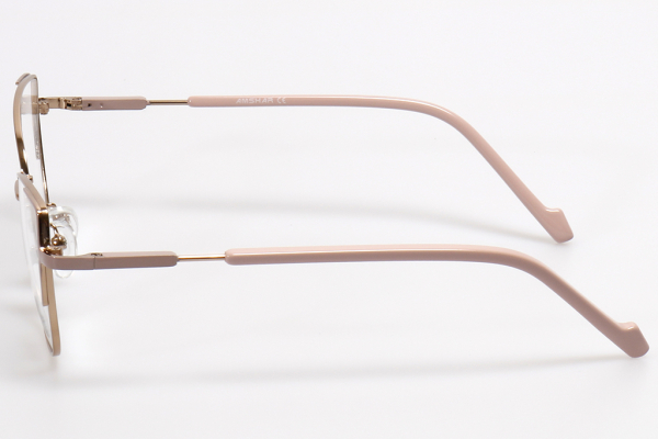 Оправа Amshar AM 8879 c5