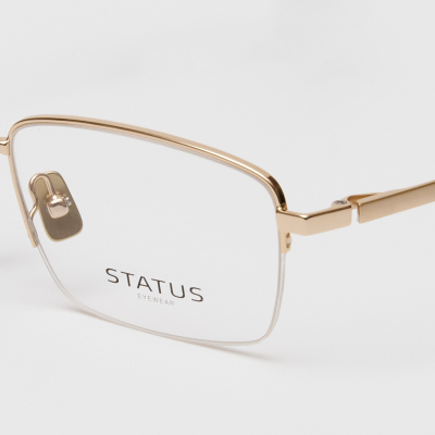 Оправа Status 62056 c6 titan