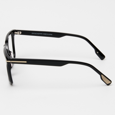 Оправа Status GX66010 c1 acetate