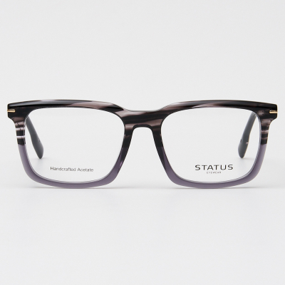 Оправа Status GX66010 c3 acetate