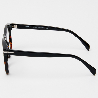 Оправа Status F3309 c8 acetate