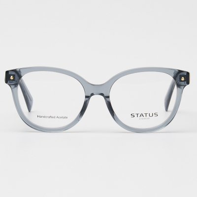 Оправа Status F2802 c5 acetate