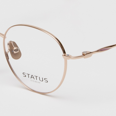 Оправа Status 19122 c11 titan