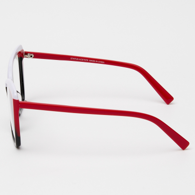 Оправа Status R8304 c1 acetate