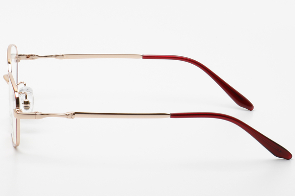 Оправа Status 20119 c22