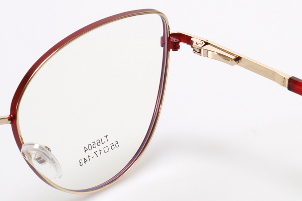 Купить Оправа Fiore 6504 c5 комплект футляр+салфетка оптом дешево с доставкой в Санкт-Петербург Купить Оправа Fiore 6504 c5 комплект футляр+салфетка оптом дешево с доставкой в Санкт-Петербург