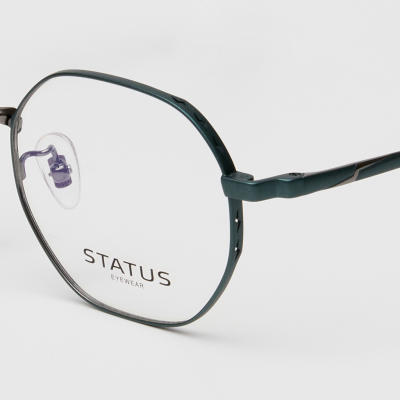 Оправа Status 69800 c315 titan