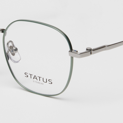 Оправа Status 15332 c66 titan