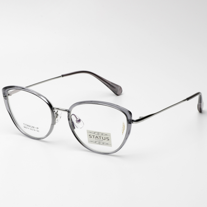Купить Оправа Status 6214 c2 titan оптом дешево с доставкой в Санкт-Петербург