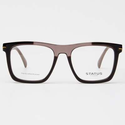 Оправа Status F3309 c3 acetate